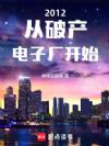 2012,从破产电子厂开始